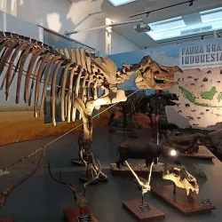 Museum Geologi Bandung - Bandung
