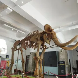 Museum Geologi Bandung - Bandung