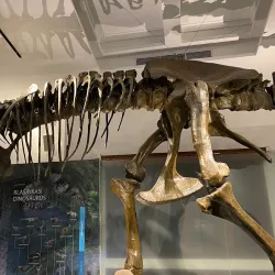 Museum Geologi Bandung - Bandung