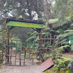 Tangkuban Perahu Volcano - Bandung