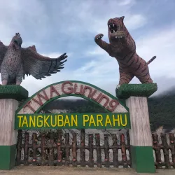 Tangkuban Perahu Volcano - Bandung