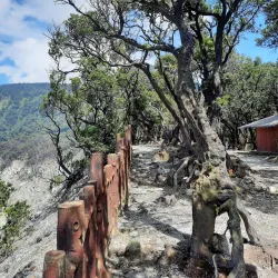 Tangkuban Perahu Volcano - Bandung