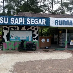 Bangka Botanical Garden - Bangka