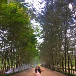 Bangka Botanical Garden - Bangka