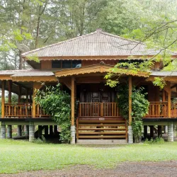 Bangka Botanical Garden - Bangka