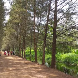 Bangka Botanical Garden - Bangka