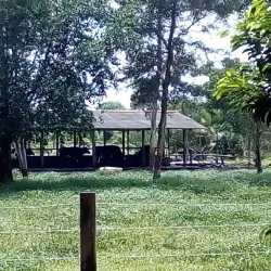 Bangka Botanical Garden - Bangka