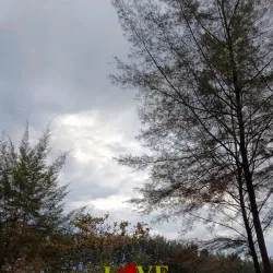 Bangka Botanical Garden - Bangka