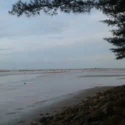Pantai Pasir Padi (Pasir Padi Beach) - Bangka