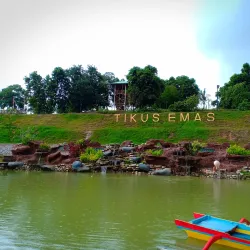 Pantai Tikus Emas (Golden Rat Beach) - Bangka