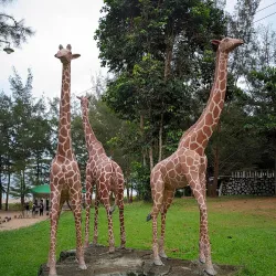 Pantai Tikus Emas (Golden Rat Beach) - Bangka