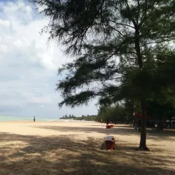 Pantai Tikus Emas (Golden Rat Beach) - Bangka