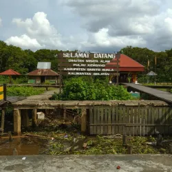 Pulau Kembang (Turtle Island) - Banjarmasin