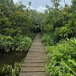 Pulau Kembang (Turtle Island) - Banjarmasin