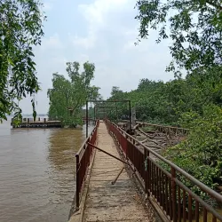 Pulau Kembang (Turtle Island) - Banjarmasin