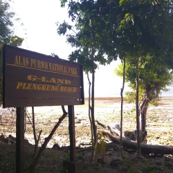 Alas Purwo National Park - Banyuwangi