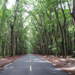Alas Purwo National Park - Banyuwangi