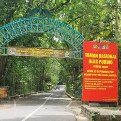 Alas Purwo National Park - Banyuwangi