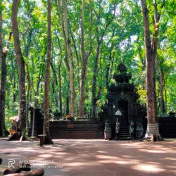 Alas Purwo National Park - Banyuwangi