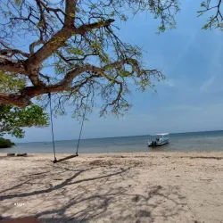 Baluran National Park - Banyuwangi
