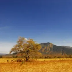 Baluran National Park - Banyuwangi