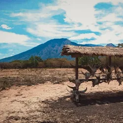 Baluran National Park - Banyuwangi