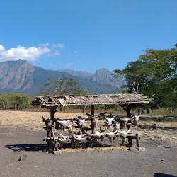 Baluran National Park - Banyuwangi