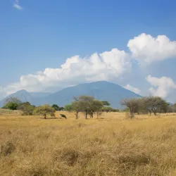 Baluran National Park - Banyuwangi