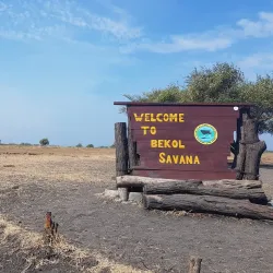 Baluran National Park - Banyuwangi