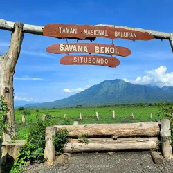 Baluran National Park - Banyuwangi
