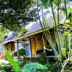 Banyuwangi Traditional Village (Osing Culture) - Banyuwangi