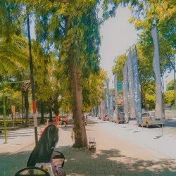 Blambangan Park - Banyuwangi