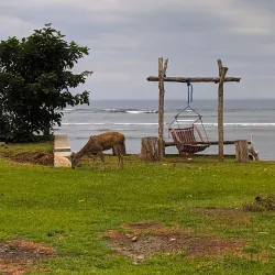 G-Land (Grajagan Bay) - Banyuwangi