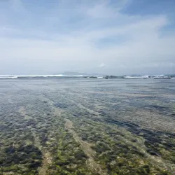 G-Land (Grajagan Bay) - Banyuwangi