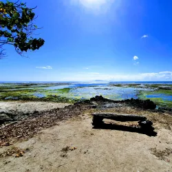 G-Land (Grajagan Bay) - Banyuwangi