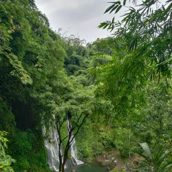 Jagir Waterfall - Banyuwangi