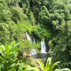 Jagir Waterfall - Banyuwangi