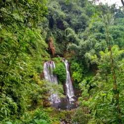 Jagir Waterfall - Banyuwangi