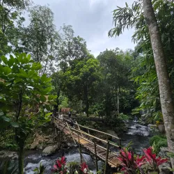 Jagir Waterfall - Banyuwangi