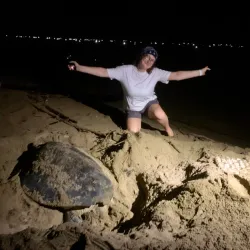 Sukamade Turtle Beach - Banyuwangi