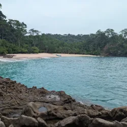 Sukamade Turtle Beach - Banyuwangi