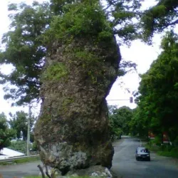 Watu Dodol Beach - Banyuwangi