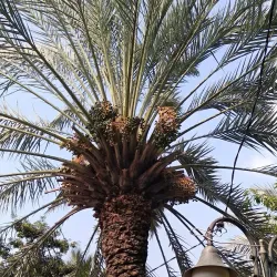 Masjid Agung Al-Barkah Bekasi - Bekasi