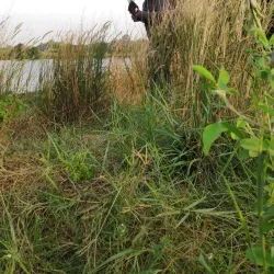 Setu Cibeureum - Bekasi