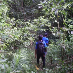 Bengkulu Botanical Garden - Bengkulu