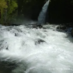 Bengkulu Botanical Garden - Bengkulu