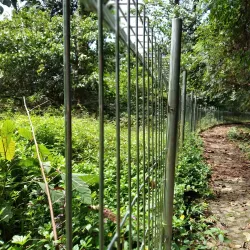 Bengkulu Botanical Garden - Bengkulu