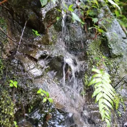 Bengkulu Botanical Garden - Bengkulu