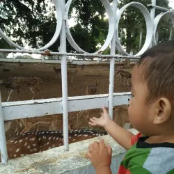 Bengkulu City Square (Alun-Alun Bengkulu) - Bengkulu