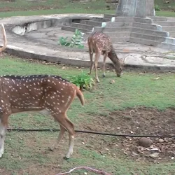 Bengkulu City Square (Alun-Alun Bengkulu) - Bengkulu